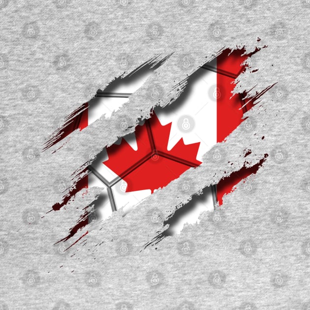 Canada Football by blackcheetah